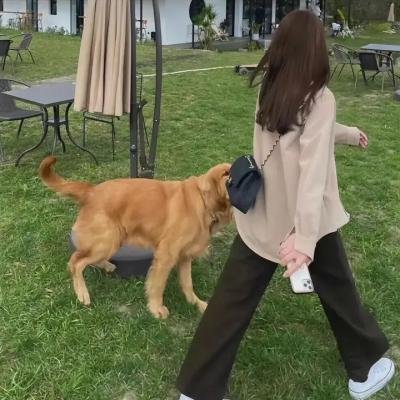 勇敢的小裁缝